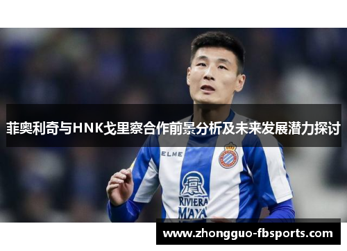 菲奥利奇与HNK戈里察合作前景分析及未来发展潜力探讨