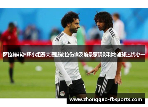 萨拉赫非洲杯小组赛突遭腿筋拉伤埃及前景蒙阴影利物浦球迷忧心一