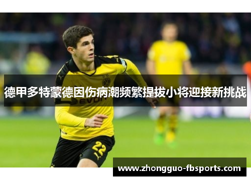 德甲多特蒙德因伤病潮频繁提拔小将迎接新挑战
