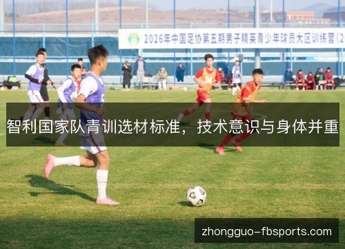 智利国家队青训选材标准，技术意识与身体并重