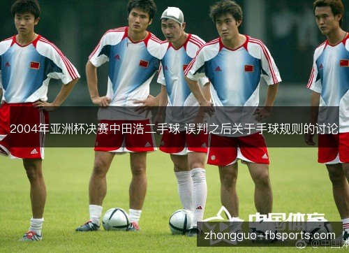 2004年亚洲杯决赛中田浩二手球 误判之后关于手球规则的讨论